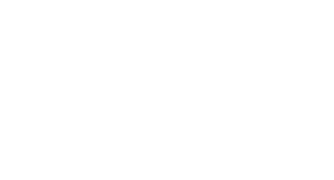 wordpress logotype alternative white
